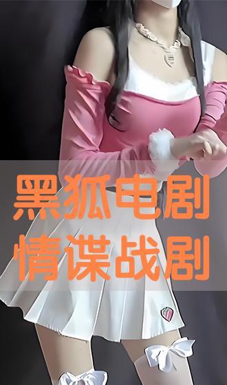 在线观看黑狐,暗影特工的隐秘使命  第3张